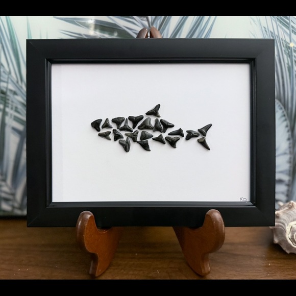 Shark teeth - Picture 1 of 1